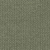 Olive 06