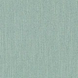 Eucalyptus 05